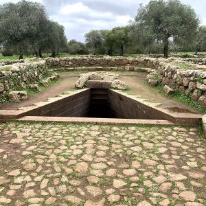 A visit to Well of Santa Cristina and Losa NURAGHE